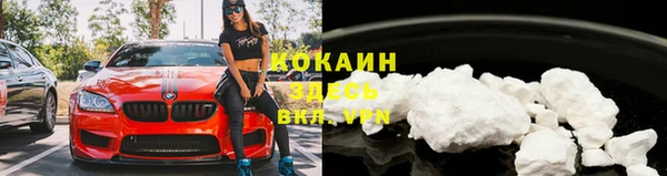 мяу мяу мука Кулебаки